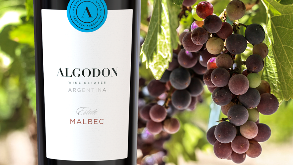 We're celebrating Malbec World Day! Algodon Fine Wines