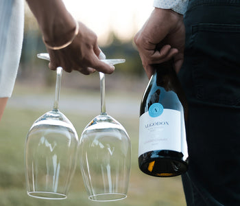 Love Uncorked: A Romantic Getaway at Algodon Wine Estates