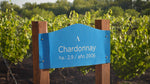 Algodon 2019 Chardonnay Lands Stateside