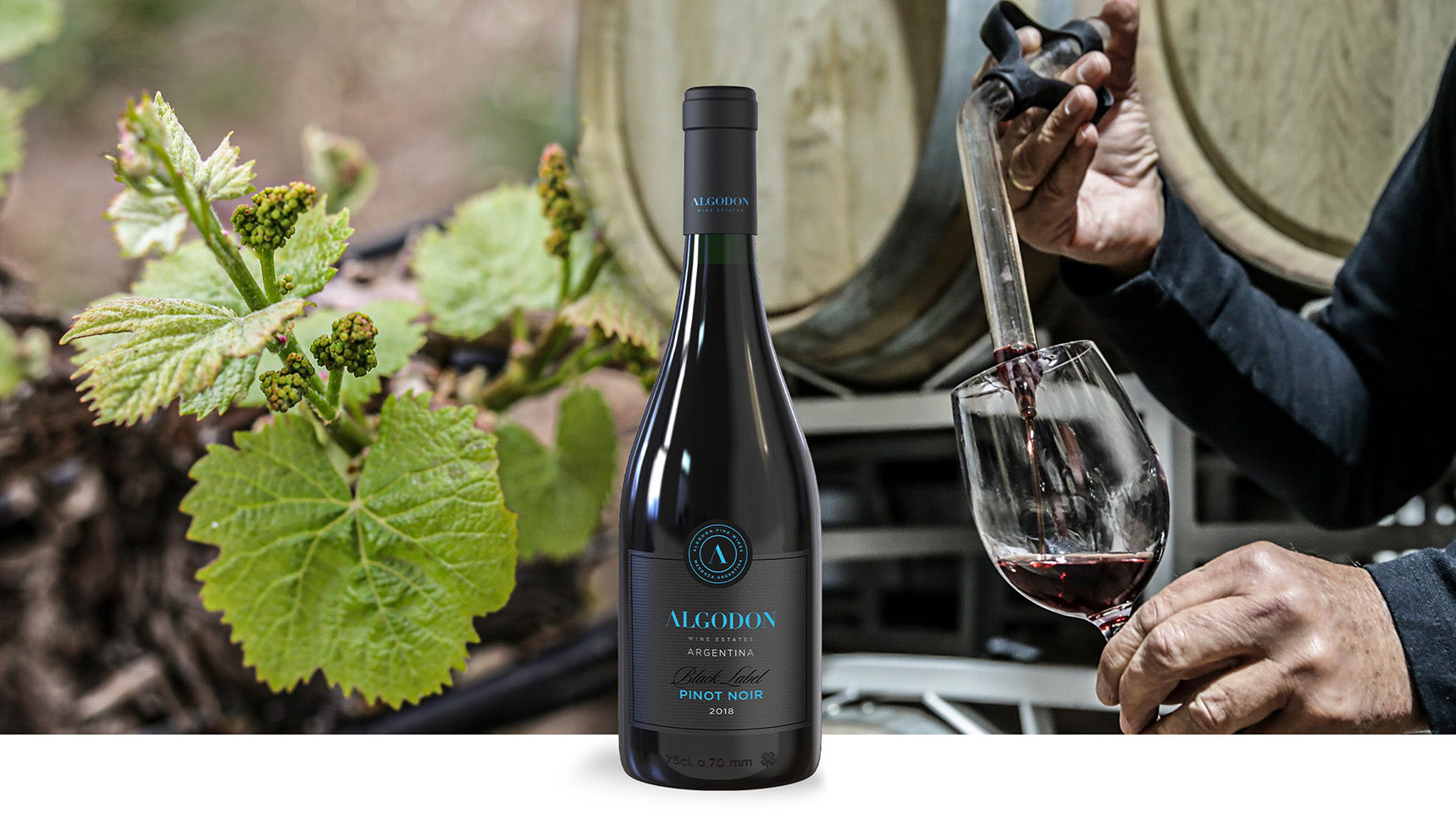 New Buds of Spring:  Introducing Our New Black Label Pinot Noir